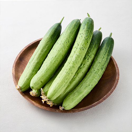 백다다기 오이 1kg - 5kg